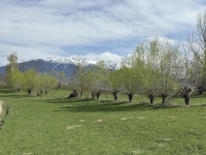 Teren intravilan  500 mp in zona Bran Tohanita