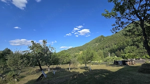 Teren intravilan 2789mp, Valea de Brazi - Uricani, asfalt si utilități 