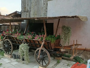 Căruță țărănească autentică, veche de aproximativ 100 de ani   completă, restaurată, cu jug și acope