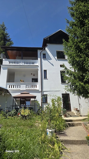 Vila Apartament Camera Predeal 250 pe noapte camera - imagine 5
