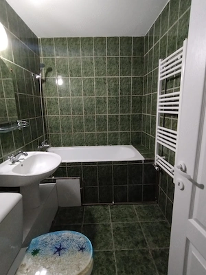 Proprietar - Vând apart. cu 2 camere Trivale Complex II, 54mp, bloc 1985, Centrală Proprie, Renovat - imagine 5