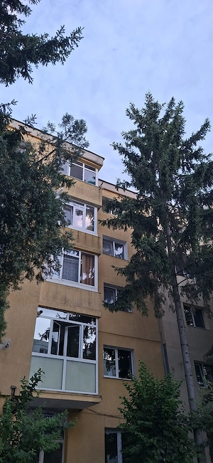 Proprietar - Vând apart. cu 2 camere Trivale Complex II, 54mp, bloc 1985, Centrală Proprie, Renovat - imagine 7
