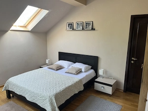 Vila( Cabana superioara)în Valea Budului  - imagine 4