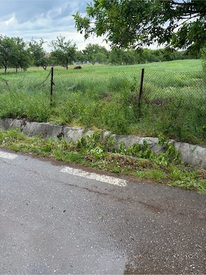 Teren intravilan Husasău de Tinca, Miersig, 1200 mp, la asfalt (25 min de Oradea) - imagine 3