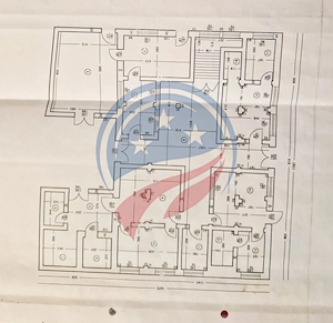 SPATIU  COMERCIAL   PIATA FILIASI  354 mp - parter+etaj - imagine 2
