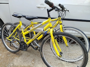 Biciclete sh functionle 