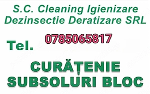 curățenie Subsol de Bloc 