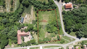Teren intravilan 2877 mp Murani langa Domenii oportunitate investitie - imagine 2