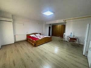 Studio open-space, 42 mp, zona Brazda lui Novac - imagine 3