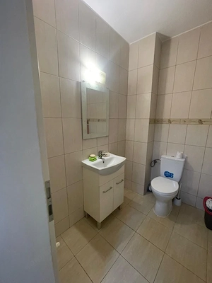 Studio open-space, 42 mp, zona Brazda lui Novac - imagine 9