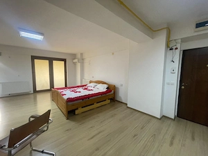 Studio open-space, 42 mp, zona Brazda lui Novac - imagine 4