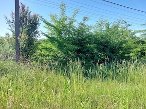 Teren vânzare Filiași, 2810 mp, 15.000 euro, strada 24 Ianuarie - imagine 3