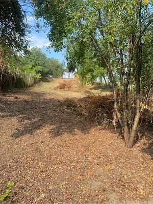 Casă de vânzare în comuna Șona, județul Alba - imagine 10