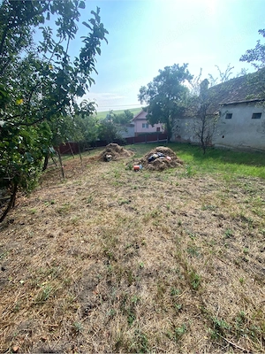 Casă de vânzare în comuna Șona, județul Alba - imagine 9