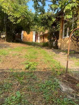 Casă de vânzare în comuna Șona, județul Alba - imagine 8
