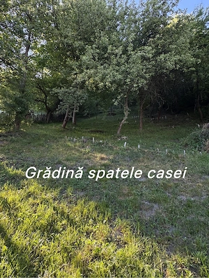 Casă cu teren de vânzare Petrila - imagine 5