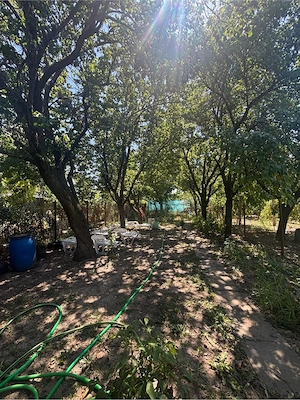Casa de vanzare zona Sagului - Direct de la proprietar - imagine 10