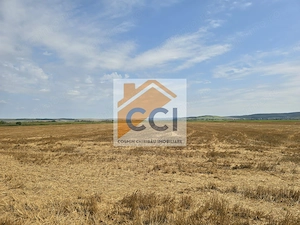 Teren intravilan– 50.000 mp, Bacău, Șoseaua Hol