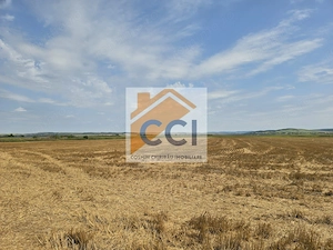 Teren intravilan– 50.000 mp, Bacău, Șoseaua Hol - imagine 2