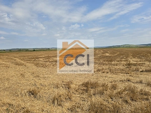 Teren intravilan– 50.000 mp, Bacău, Șoseaua Hol - imagine 6