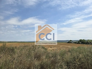 Teren intravilan– 50.000 mp, Bacău, Șoseaua Hol - imagine 7