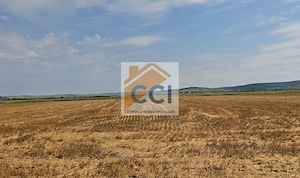 Teren intravilan– 50.000 mp, Bacău, Șoseaua Hol - imagine 9