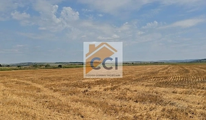 Teren intravilan– 50.000 mp, Bacău, Șoseaua Hol - imagine 8