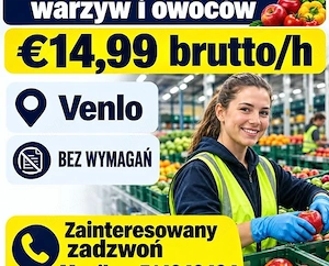 Angajam cupluri la sortat de mere 