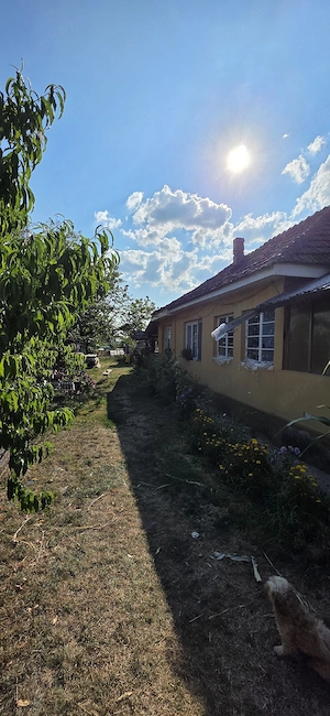 Casa de vanzare in Seini - imagine 2