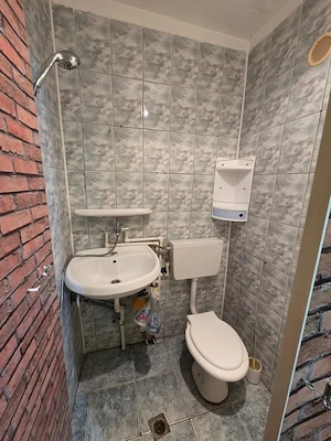 Garsoniera 20 mp, mobilata, parter- Zona Bogdanestilor Timisoara  - imagine 4