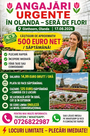 sera flori august plecare urgenta