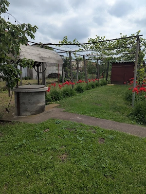 Vând casa în municipiul Tg-Jiu,  situată pe bulevardul Ecaterina Teodoroiu.  - imagine 3