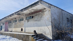 Vand teren 6716 mp – Caracal, Str. Siloz- proprietar - imagine 5
