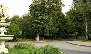 Proiect case insiruite I 3000 mp lotizat I Green City - imagine 2