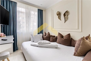 Apartament de lux de vanzare zona Podgoria, generala 5 - imagine 5
