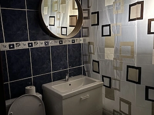 apartament 2 camere-pantelimon-baicului-modern - imagine 5