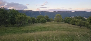 Teren extravilan la munte, in Nucsoara Arges - imagine 5