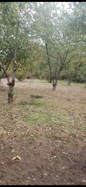 Loc intravilan de vanzare - imagine 5