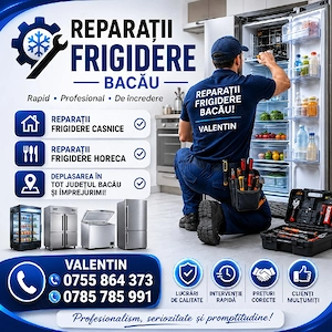 Reparații Frigidere Bacau 