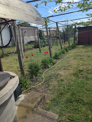 Vând casa în municipiul Tg-Jiu,  situată pe bulevardul Ecaterina Teodoroiu.  - imagine 9