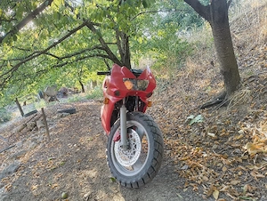 moto sachs 125
