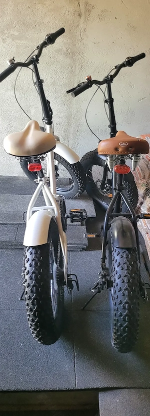 Bicicleta alb-negru 