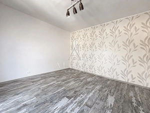Casa cu 2 spatii SAD si 2 apartamente, in Lipovei - imagine 2