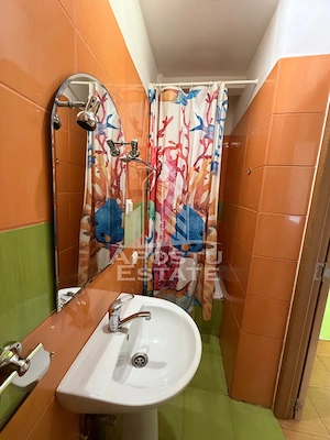 Garsoniera de vanzare , 20 mp , Zona Lipovei , Timisoara - imagine 6