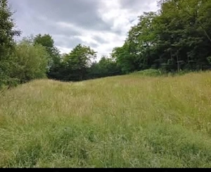 Teren intravilan 2.621 mp în Șinca Nouă  Brașov Deschidere 60m - imagine 3