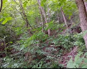 Teren intravilan 2.621 mp în Șinca Nouă  Brașov Deschidere 60m - imagine 5