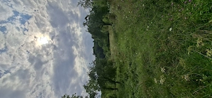 Vând proprietate 8250 mp  casă, anexe, fântână și teren agricol   Tomșani - imagine 8