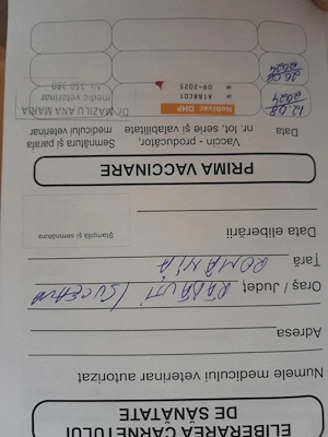 Mascul CRB 2 ani,pt pază  - imagine 2
