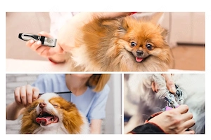 Set cosmetizare animalule tăiat unghii par etc Contine mașina tuns reincarcabila pe usb cu litiu.    - imagine 5