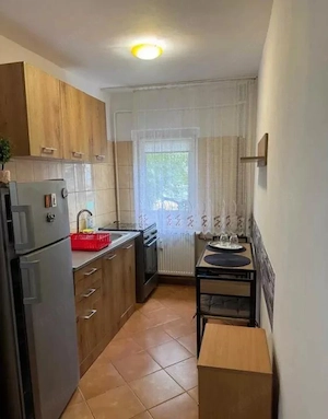 Apartament cu o camera, 40 mp utili, parter - Piata Doina - imagine 2